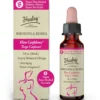 HEALSY® CURVY WOMENS DROPS