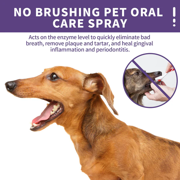 HappyTails Pet Oral Care Spray