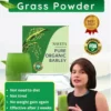 Naveta™ Barley Grass Powder 100% Pure & Organic