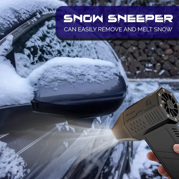 iRosesilk Electric Hot Air Snow Sweeper Portable Blower