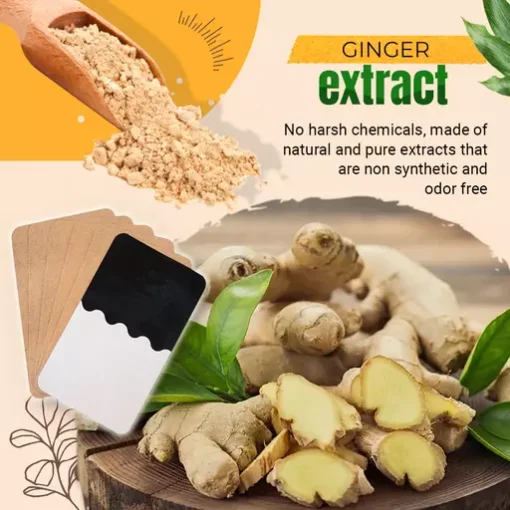 PainFree Lymphatic Healing Ginger Patch - Image 3