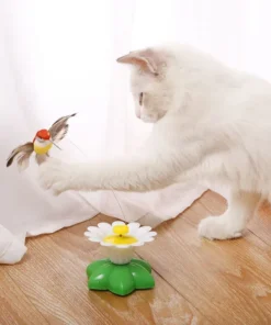 Electric bird teasing cat toy