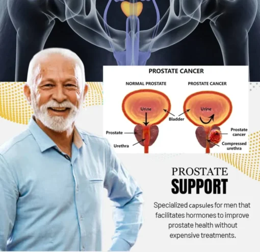 Prostate Therapy Capsules – Supporting Healthy Prostate Function - Image 6