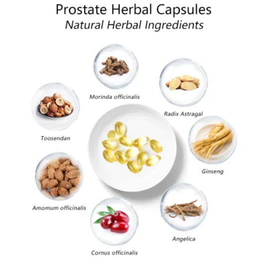 Prostate Therapy Capsules – Supporting Healthy Prostate Function - Image 7