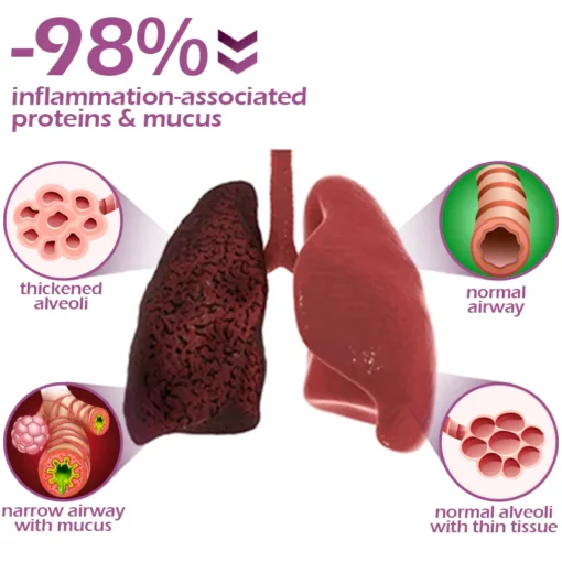 GFOUK™ Beerify Lung Cleanse Inhaler - Image 9