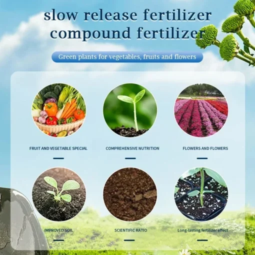 General purpose slow-release organic fertilizer for plants - Image 4