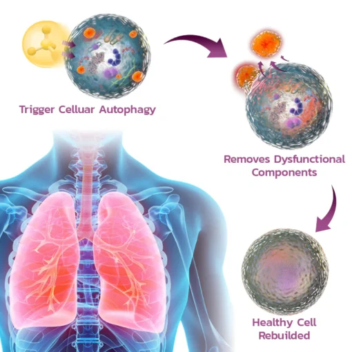 GFOUK™ Beerify Lung Cleanse Inhaler - Image 5