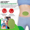 AEXZR™ Sugar Regulating Patch