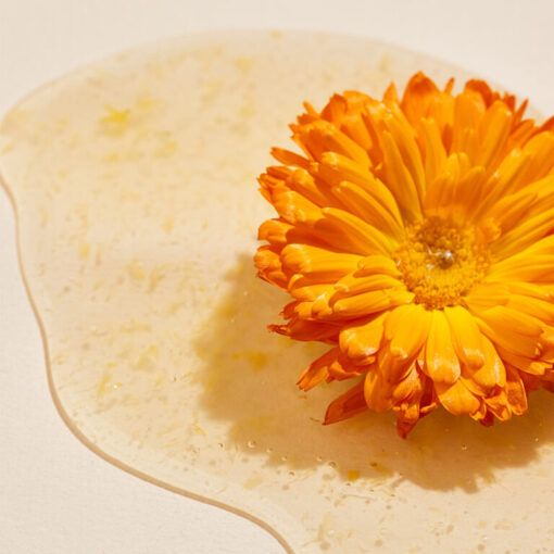 Calendula Peel Off Pack - Image 3