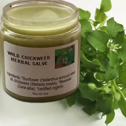 ATTDX™ Wild Chickweed Herbal Balm