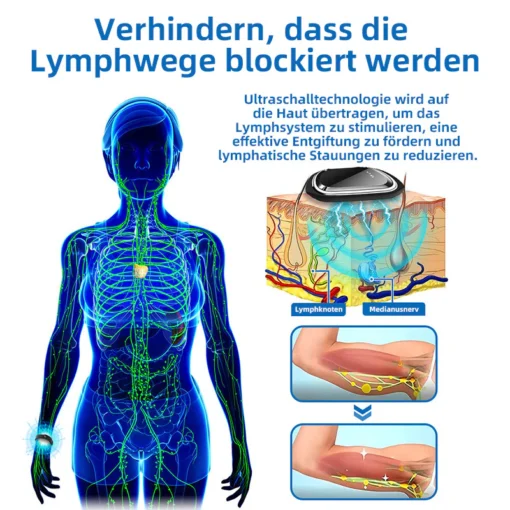 Unterstützen Sie Ihr Lymphsystem effektiv.