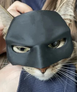 Cat Batman Mask