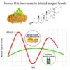 Furzero™ SugarSync Health Control Aerosolizer