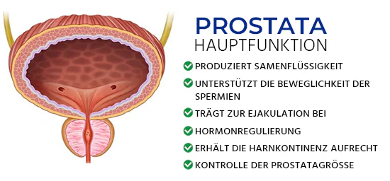 Oveallgo™ BeeProsta Nasenspray für die Prostatagesundheit bietet eine einfache und effektive Lösung zur Erhaltung der Prostatagesundheit und zur Verbesserung der Lebensqualität.