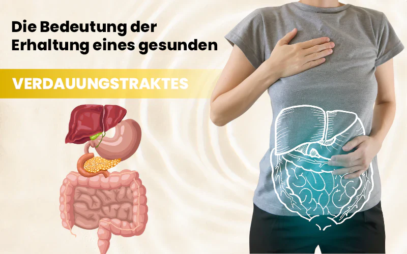 Finden Sie mit Oveallgo™ CalmBelly Verdauungsöl zur Linderung eine effektive Lösung gegen Magenprobleme.