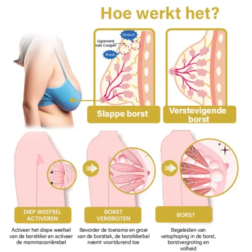 Oveallgo™ Borst Wellness Sculpt en Lift Crème beschermt tegen de invloeden van de omgeving.