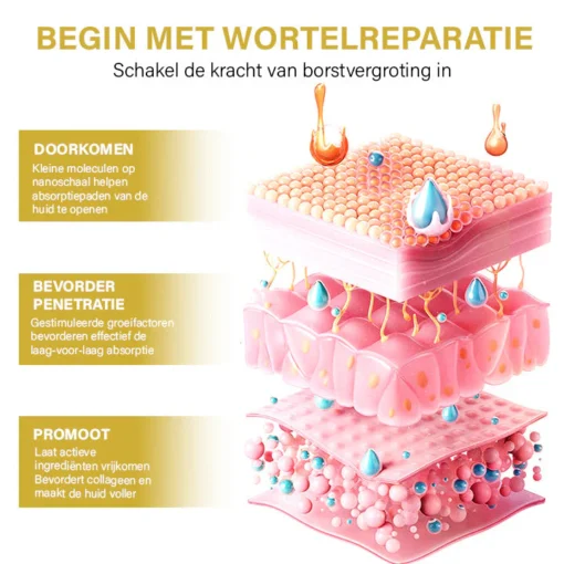 Oveallgo™ Borst Wellness Sculpt en Lift Crème moet deel uitmaken van de dagelijkse verzorging van vrouwen.