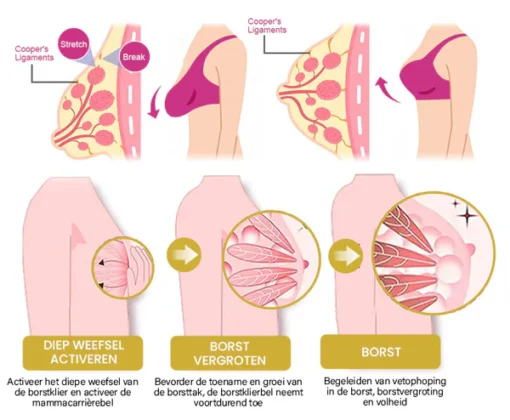 Oveallgo™ Borst Wellness Sculpt en Lift Crème verhoogt het zelfvertrouwen van vrouwen door stevigheid te bieden.