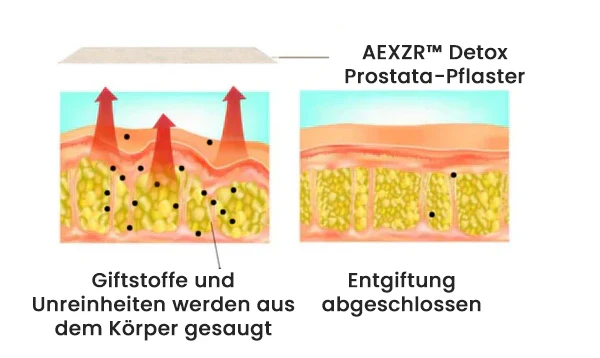 Mit AEXZR™ Detox Prostata-Pflaster erleben Sie eine verbesserte Lebensqualität durch die natürliche Entgiftung der Prostata.