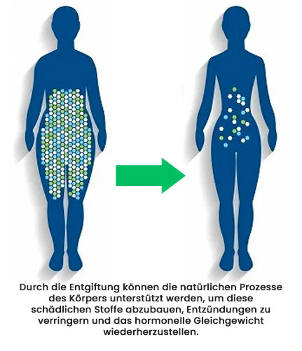 Die natürlichen Kräuter im AEXZR™ Detox Prostata-Pflaster fördern eine gesunde Prostatafunktion und lindern Beschwerden.