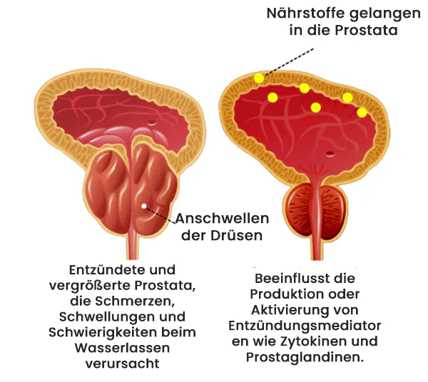 Verbessern Sie Ihre Prostatagesundheit mit dem AEXZR™ Detox Prostata-Pflaster, das die Entgiftung über Nacht unterstützt.