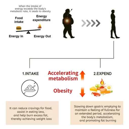 Wellemp® GLP-1 Slimming Droplet slows gastric emptying and supports fat-burning processes.