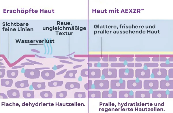 Erleben Sie die beruhigende Wirkung der AEXZR™ Augenschwellungs Entferner Creme, die feine Linien und Falten sichtbar reduziert.