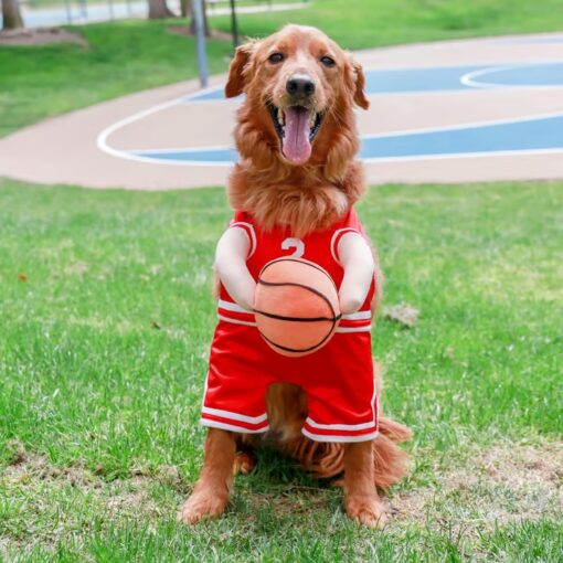 The Basketball Dog Costume includes a soft basketball accessory for added fun and engagement.