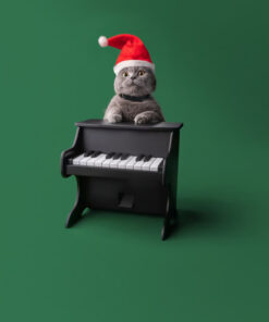 Cat Piano Feeder safely stores food, keeping it fresh and ready for mealtime.