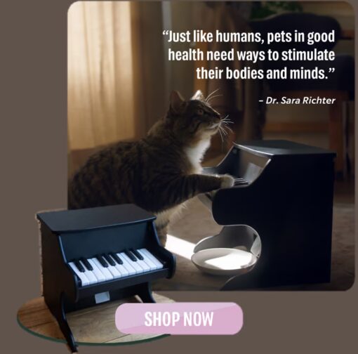 Manage portion control and meal timings easily with the Cat Piano Feeder.