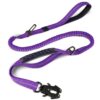 Heavy Duty Dog Leash with durable Frog Clip for strong dogs, ensuring secure control during walks.