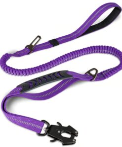 Heavy Duty Dog Leash with durable Frog Clip for strong dogs, ensuring secure control during walks.