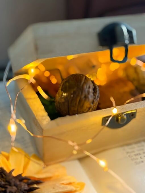 Walnut Shell Doll House – Handmade miniature home made from natural walnut shells and clay, with unique lighting feature.