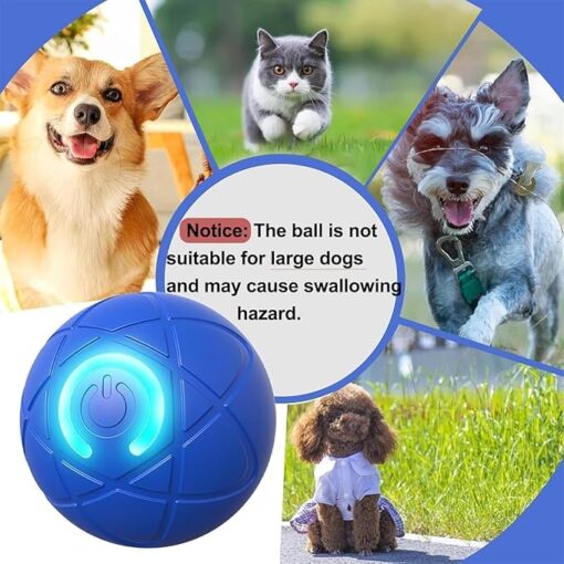 Play indoors or outdoors with the versatile Chewie Viral Bouncing Ball, suitable for all floor types.