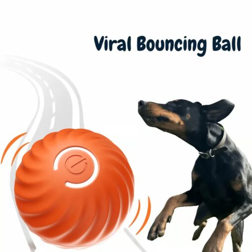 The Chewie Viral Bouncing Ball is perfect for active dogs, with a non-slip surface for a better grip.