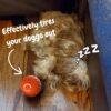 Chewie Viral Bouncing Ball features smart activation, bouncing and rolling to engage your pet.