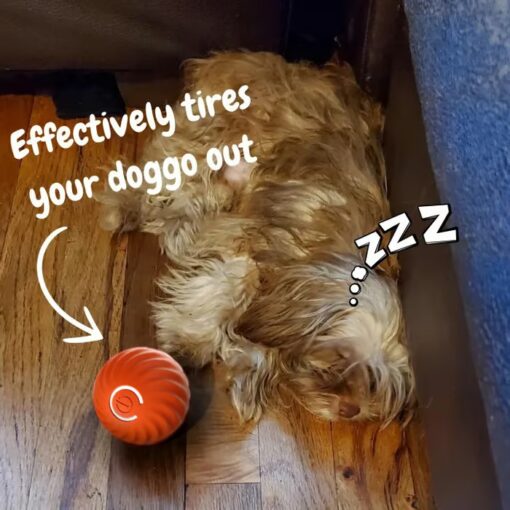 Chewie Viral Bouncing Ball features smart activation, bouncing and rolling to engage your pet.