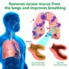 Lercea™ Mullein Clear Lung Repair Cream – Ideal for asthma and allergy relief.