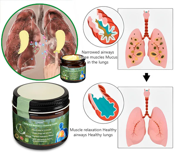 Lercea™ Mullein Clear Lung Repair Cream – Reduces inflammation and regenerates lung tissues.