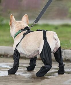 Suspender Boots – Comfortable paw protection for outdoor walks and playtime.