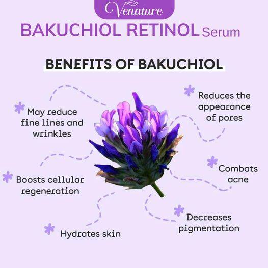 Venature™ Bakuchiol Retinol Rejuvenation Serum firms and softens the skin.